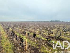 Vente Terrain 24342 m&sup2;Vernou-sur-Brenne