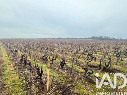 Vente de terrain Vernou-sur-Brenne 37