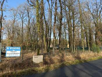 Vente de terrain Verrie 49