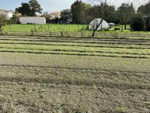 Vente Terrain 1092 m&sup2;Vertou