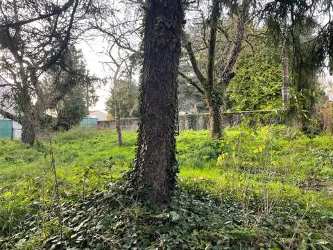 Vente de terrain Vertou 44