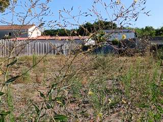 Vente de terrain