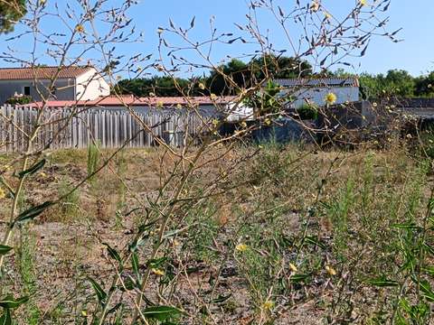 Vente de terrain Vertou 44