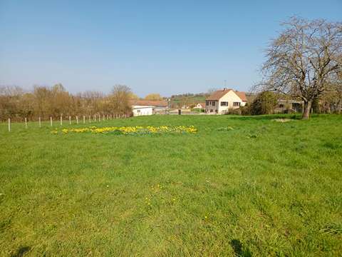 Vente de terrain