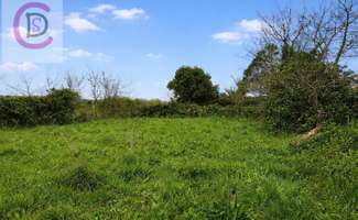 Photo Vente de terrain Vicq-sur-Mer