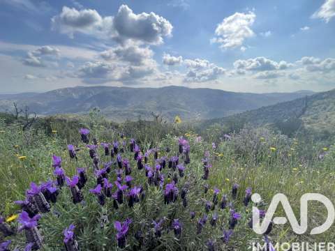 Vente de terrain Vidauban 83