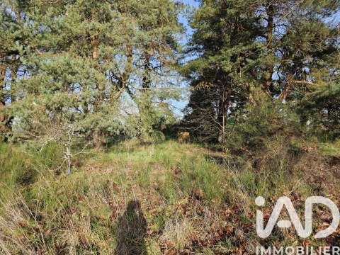 Vente de terrain