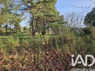 Vente de terrain