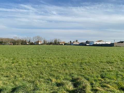Vente de terrain Vieillevigne 44