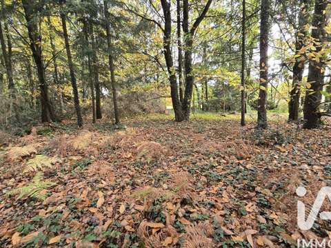 Vente de terrain