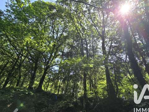 Vente de terrain Vieux-Vy-sur-Couesnon 35