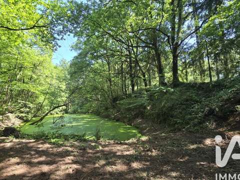 Vente de terrain