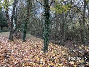 Vente Terrain 2928 m&sup2;Villaines-la-Carelle