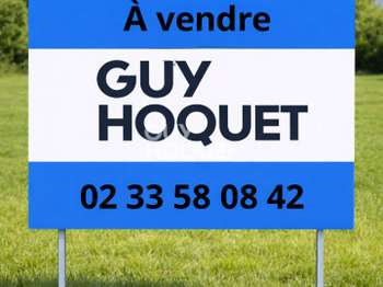 Vente Terrain 29353 m&sup2;Villedieu-les-Poêles-Rouffigny