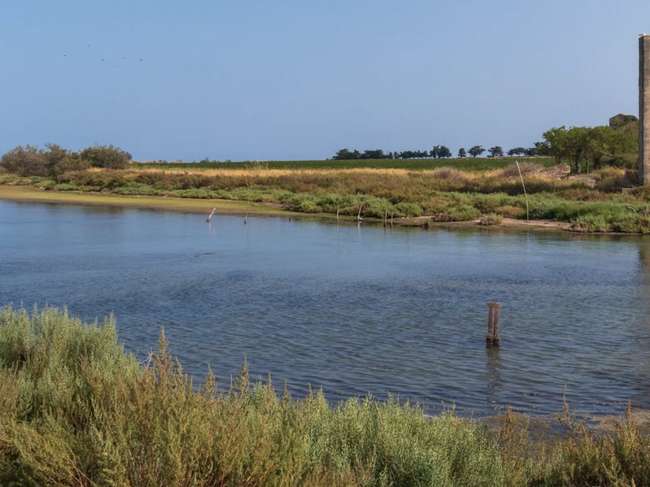 Terrain 1185 m² · à Villeneuve-lès-Maguelone · 1 185 m² · 500 000 €