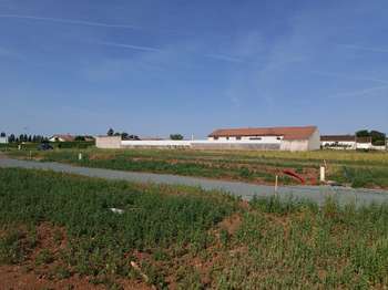 Vente de terrain