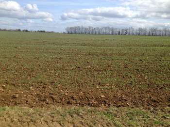 Vente Terrain 519 m&sup2;Villons-les-Buissons