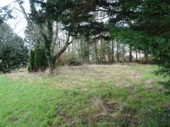 Vente de terrain Vingt-Hanaps 61