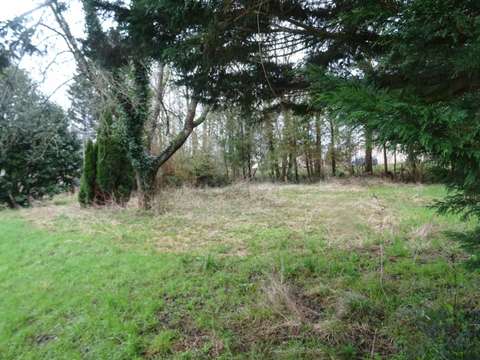 Vente de terrain Vingt-Hanaps 61