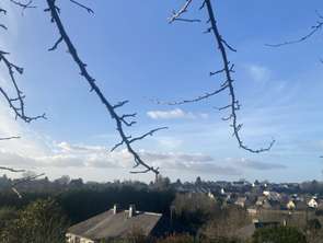 Vente Terrain 1045 m&sup2;Vire