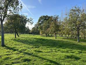 Vente Terrain 1000 m&sup2;Vire