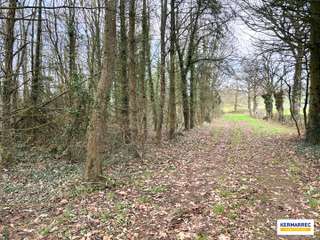 Vente de terrain 1 pièce