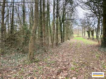Vente de terrain 1 pièce