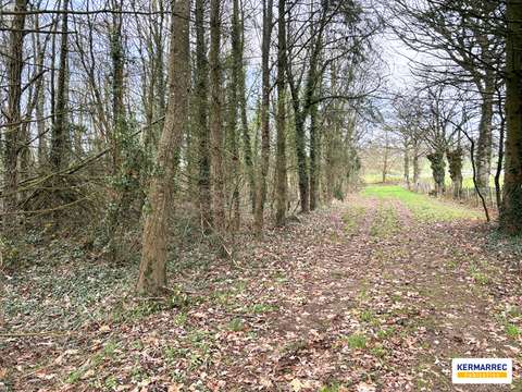 Vente de terrain 1 pièce