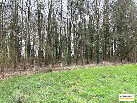 Vente de terrain 1 pièce