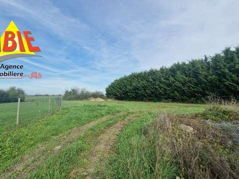 Vente de terrain Vix 85