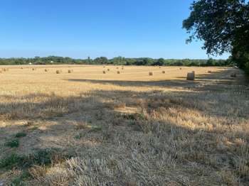 Vente Terrain 90903 m&sup2;Voivres-lès-le-Mans