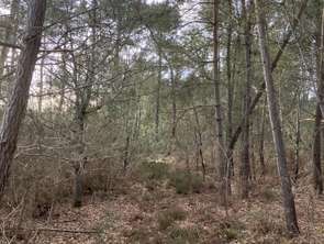 Vente Terrain 5213 m&sup2;Yvré-le-Pôlin