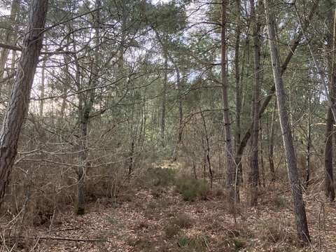 Vente de terrain Yvré-le-Pôlin 72