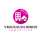 Logo VRIGNAUD ET BIRON IMMOBILIER ST GILLES