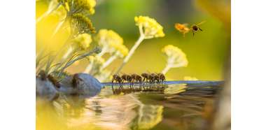 Photo agence ZERUCHE